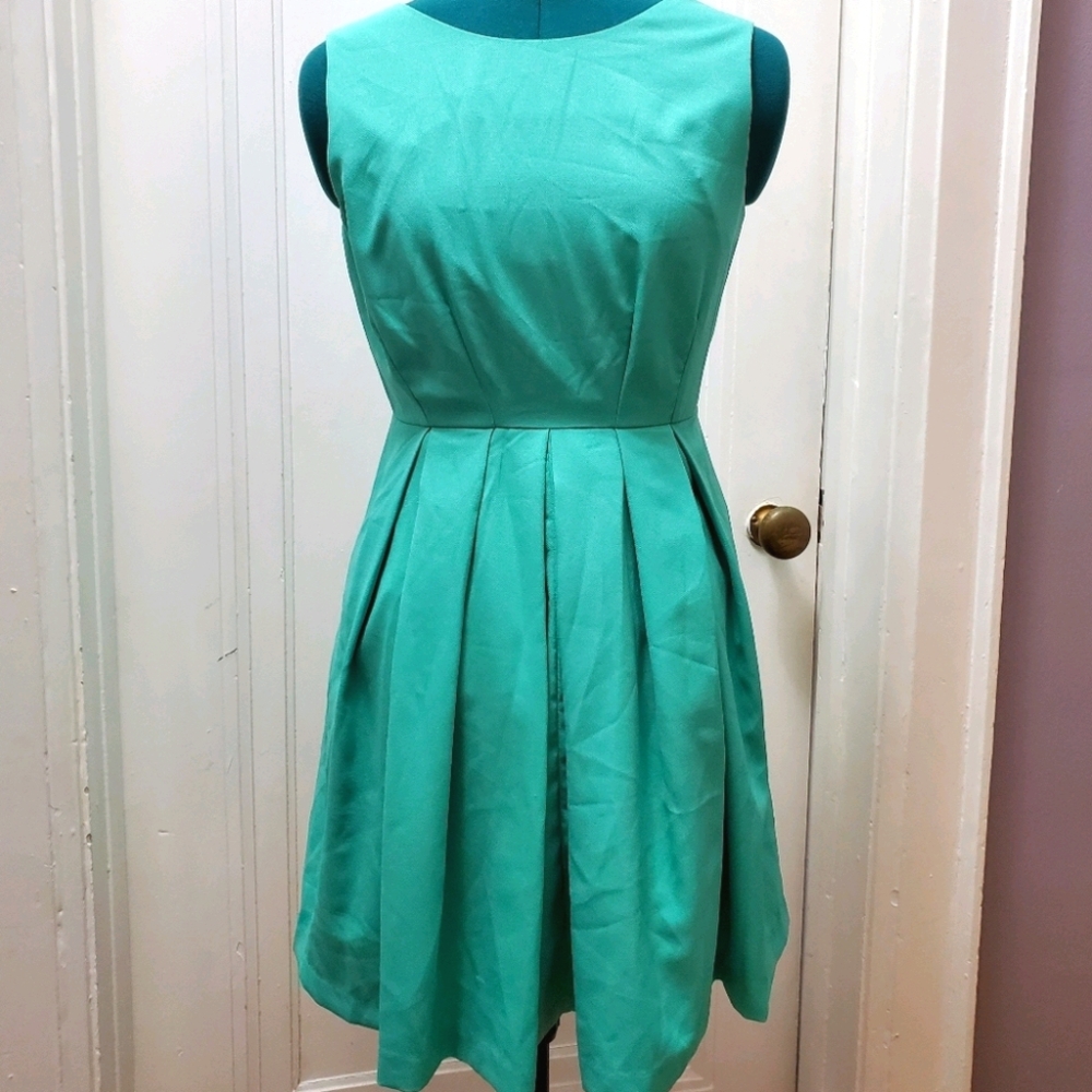 Esley Garden of Eden Pleated Dress - NWOT